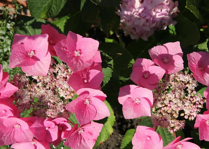 Romantik-residenz Greetsiel - B Apartament